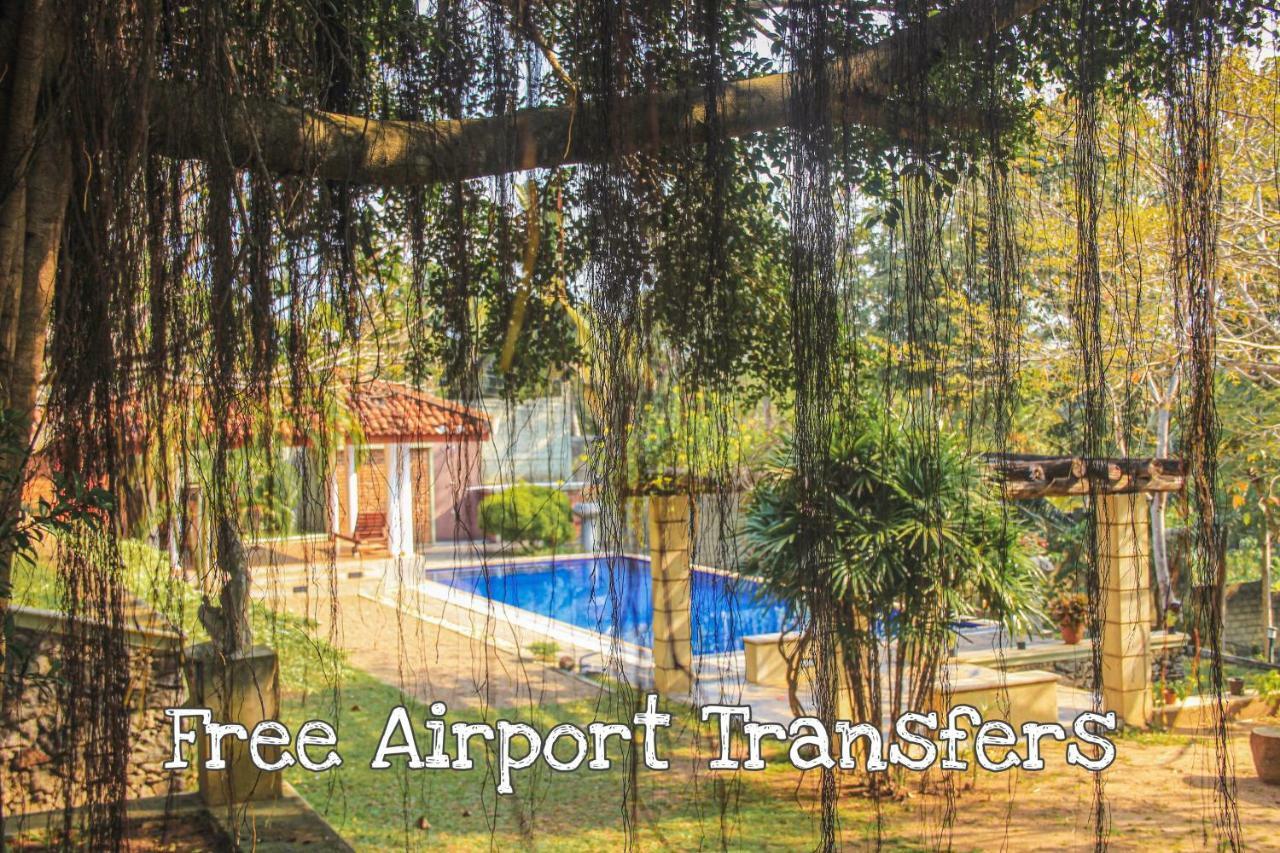 Airport Green Olive Villa Katunayake Exterior photo